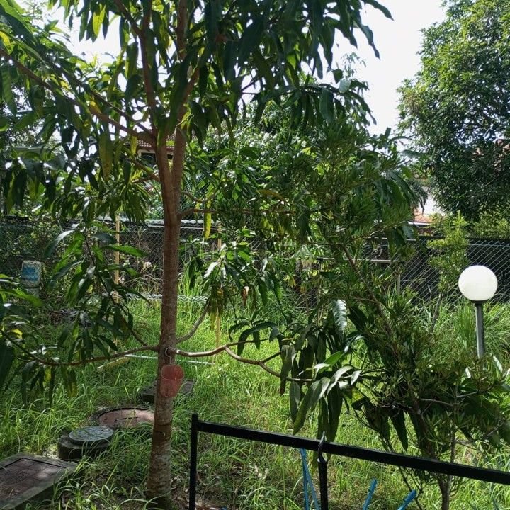 2 Storey Terrace House For Sale in Interhill Miri Airport House For Sale 11