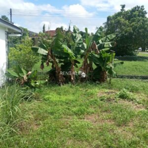 3 Bedrooms 2 Bathrooms Single Storey Terrace House For Rent At Piasau Garden Miri For Rent 14