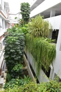 2 Bedrooms 1 Bathrooms 1st Floor SOHO Serviced Apartment For Rent At Miri Times Square For Rent Miri 14